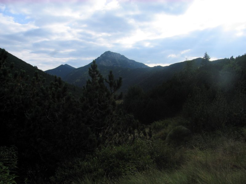 hornymountainsexpedition2009074.jpg
