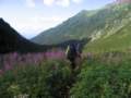 hornymountainsexpedition2009261_small.jpg