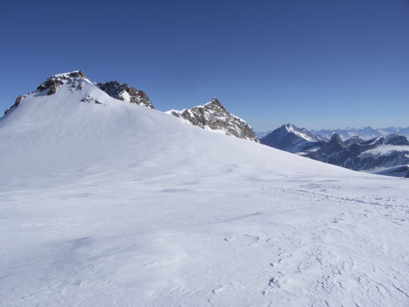 alpywallisk2009050.jpg