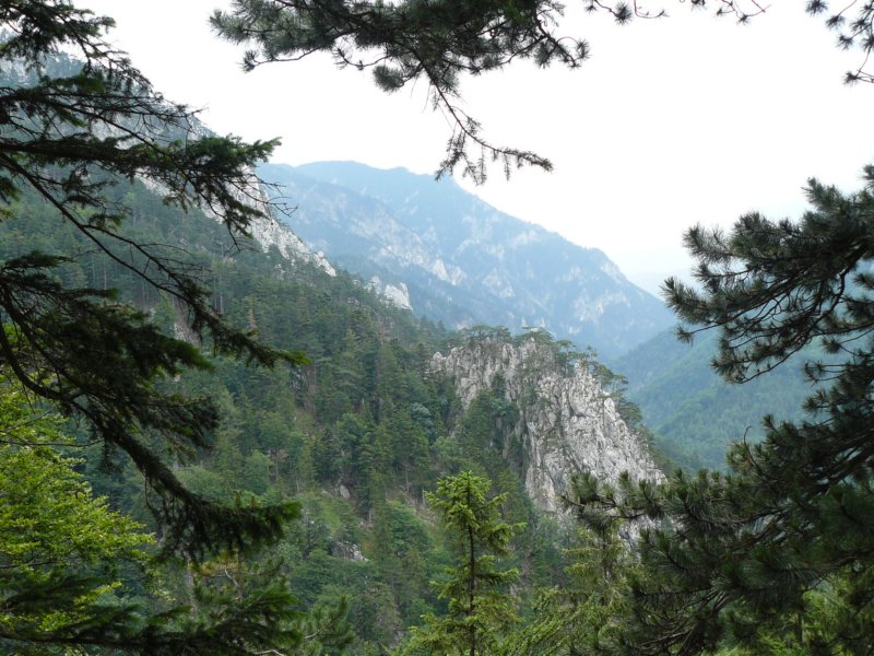 p1160774.jpg
