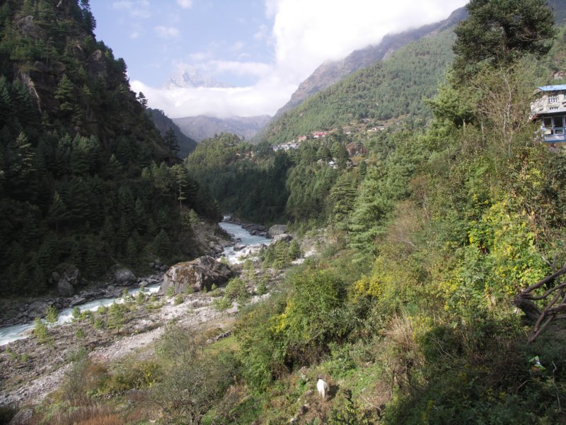 nepl2009ve728.jpg