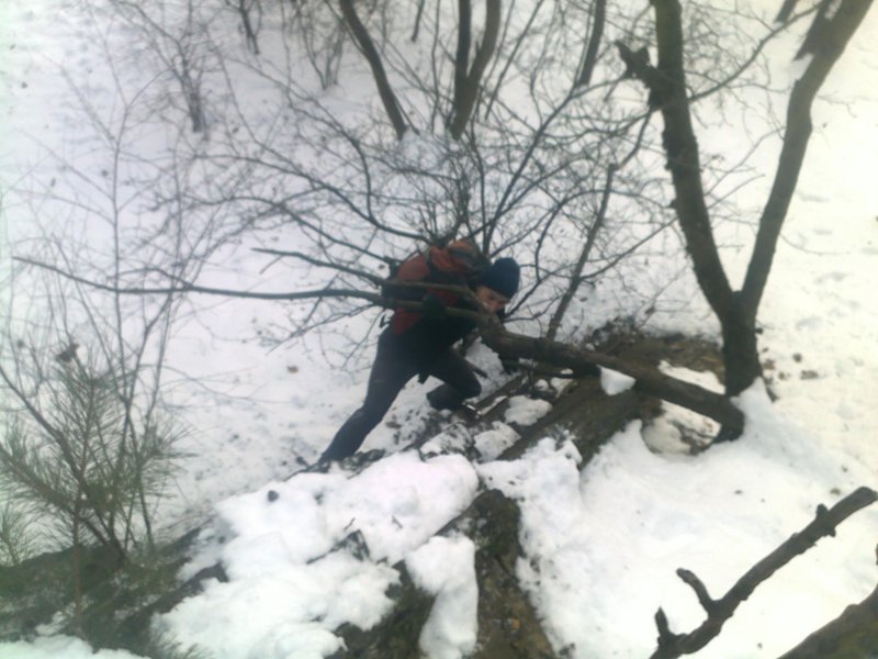 photo12.jpg