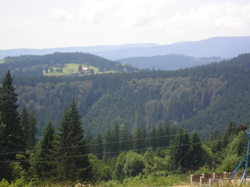 p1010703.jpg