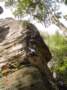 dsc01532_small.jpg