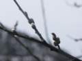 rh02008157_small.jpg
