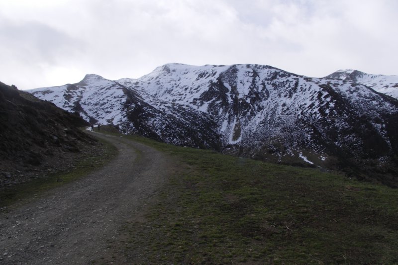 rh02008207.jpg