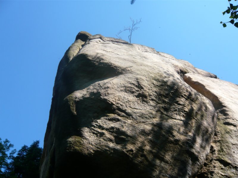p1020132.jpg