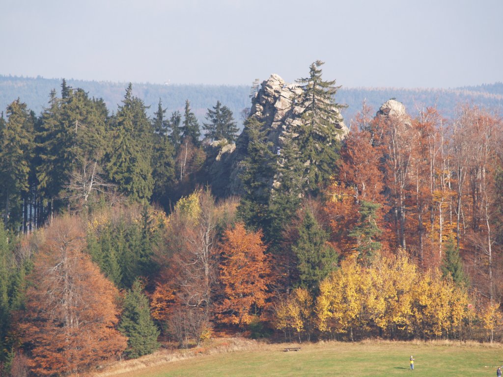 p1010107.jpg