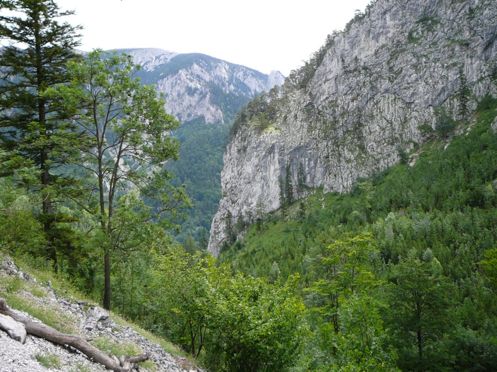 holl07020.jpg