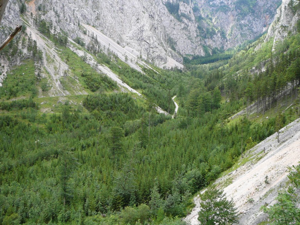 holl07021.jpg