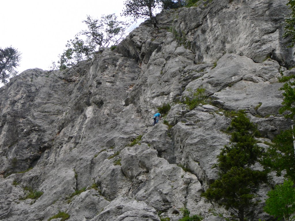 holl07024.jpg