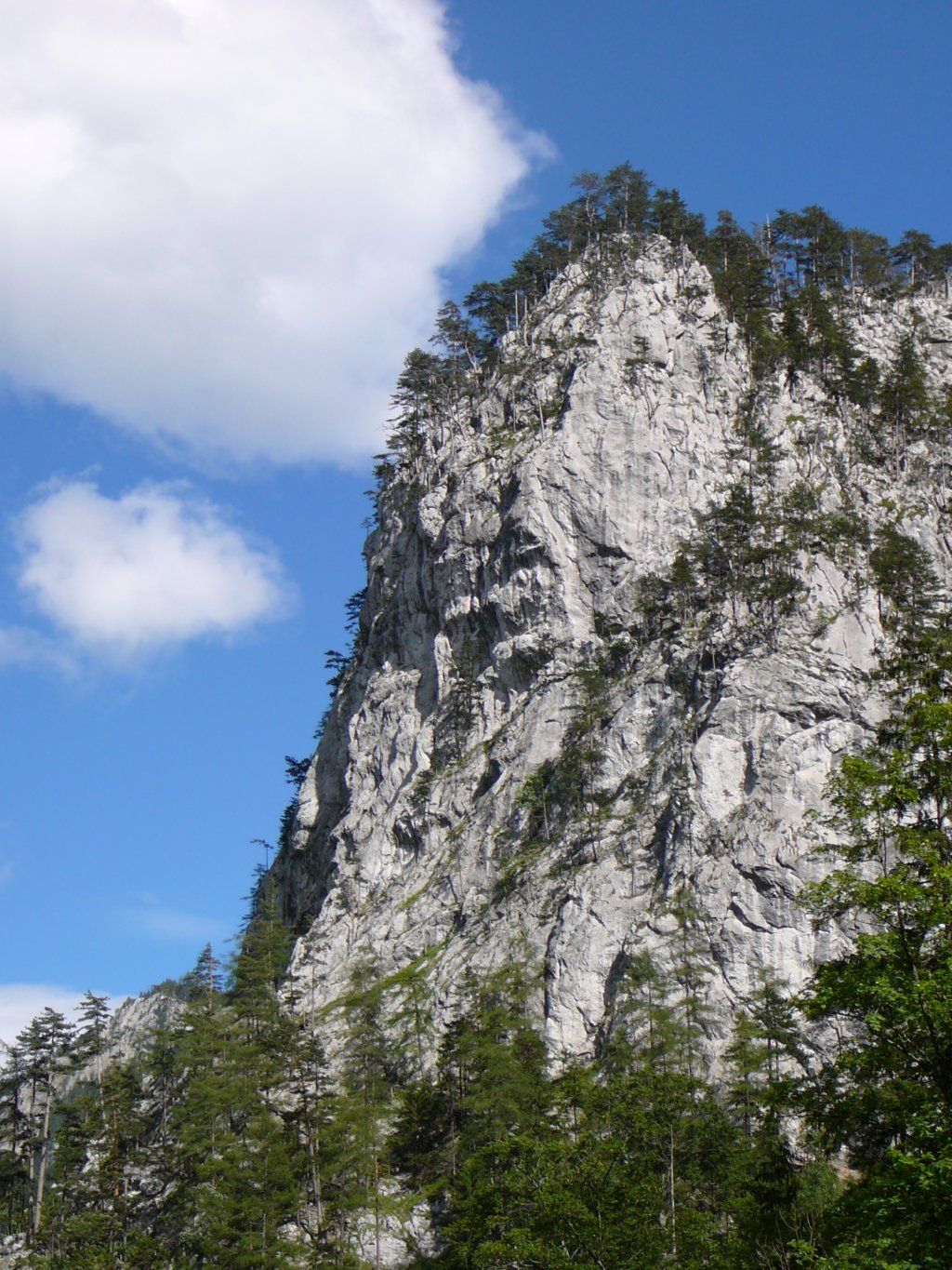holl07064.jpg