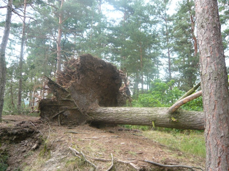 p1020176.jpg
