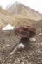 pakistan2007265_small.jpg