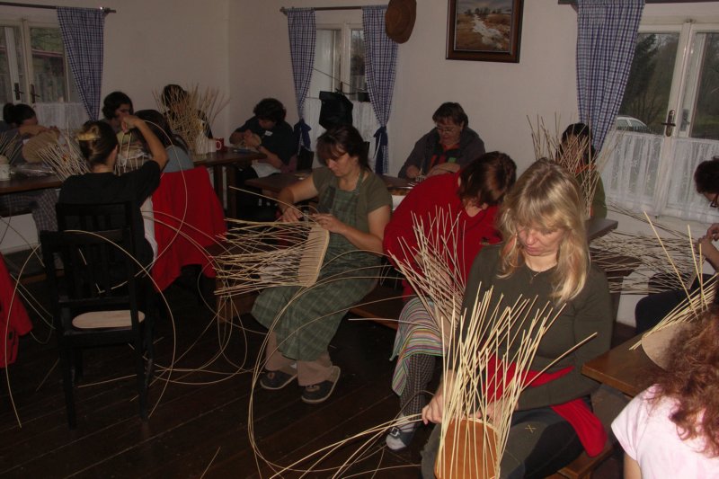 kokaenkinky2008071.jpg