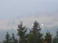 palice065_small.jpg